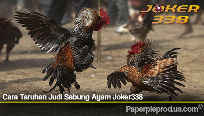Cara Taruhan Judi Sabung Ayam Joker338